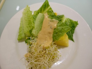 DSC00370_R