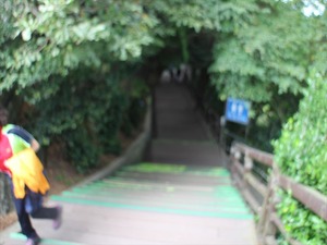 IMG_9842_R