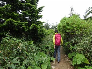 DSC06451_R