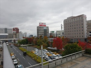 DSC01042_R