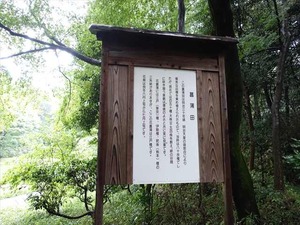 DSC02445_R