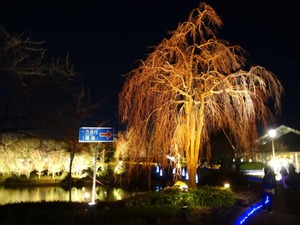 DSC01906_R