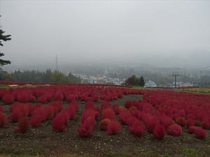 DSC07215_R