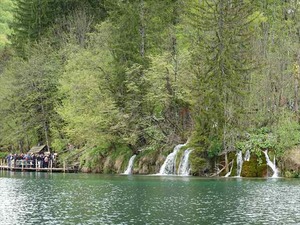 DSC00707_R
