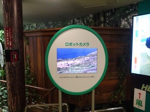DSC02351_R