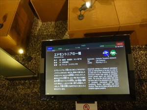 DSC05035_R