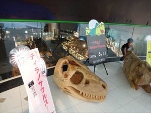 DSC05147_R