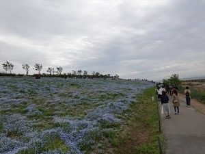 DSC00135_R