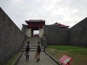 DSC07893_R