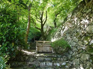 DSC05795_R