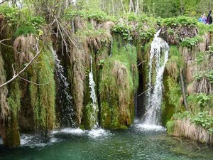 DSC00736_R