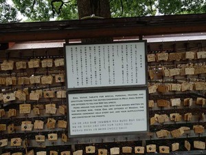 DSC02478_R