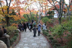 IMG_9004