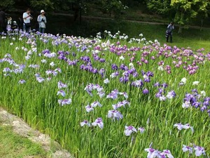 IMG_7112_R