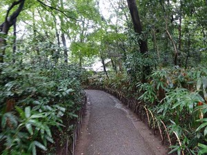 DSC02426_R