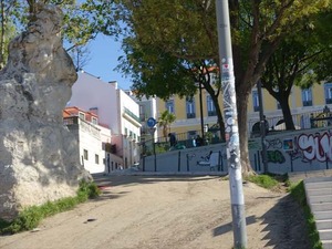 DSC07385_R
