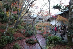 IMG_8982