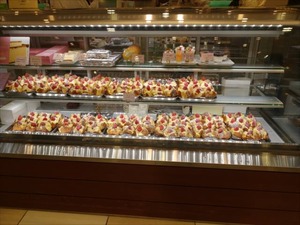 DSC04754_R