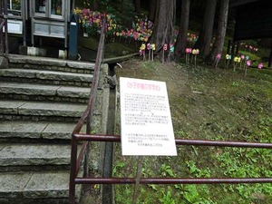 DSC06749_R
