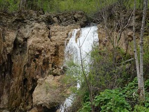 DSC00803_R