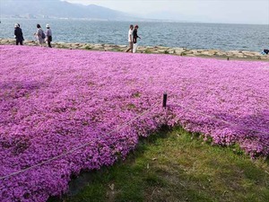 DSC05180_R