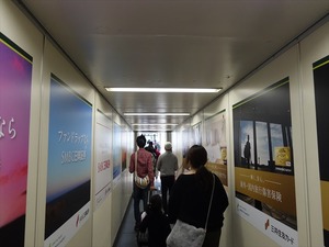 DSC03959_R