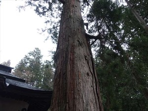 DSC09795_R