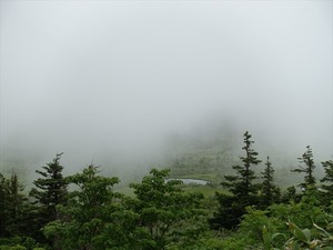 DSC06446_R