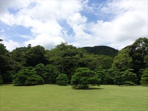 DSC07425_R