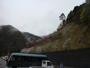 IMG_5806_R