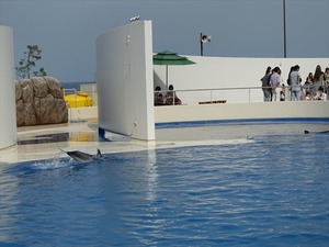 DSC05655_R