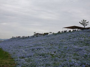 DSC00155_R