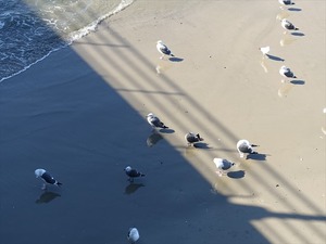 DSC07523_R