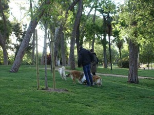 DSC04363_R