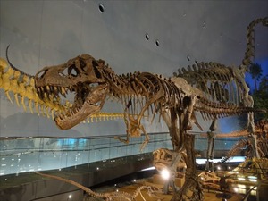DSC04995_R