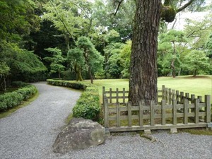 DSC07427_R