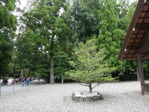 DSC07319_R