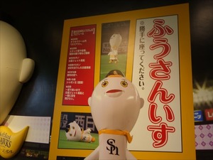 DSC00101_R