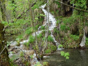 DSC00794_R