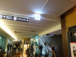 DSC00466_R