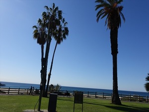 DSC07500_R