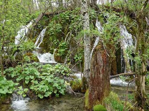 DSC00724_R