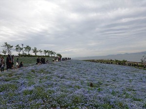 DSC00123_R