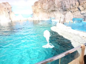 DSC03500_R