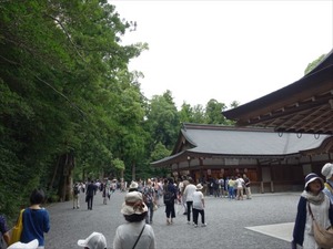 DSC07315_R