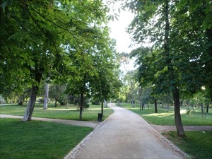 DSC04362_R