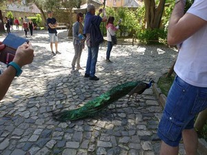 DSC07481_R