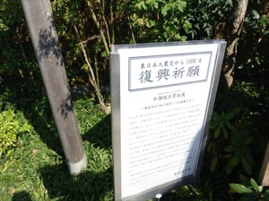 DSC00482_R