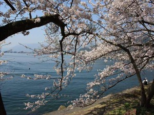 IMG_1430_R