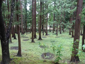 DSC06760_R